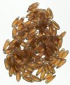 100 3x11mm Matte Transparent Smoke Topaz Dagger Beads